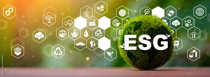 Dell esg