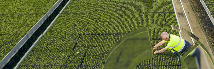Jp morgan sustainable investing