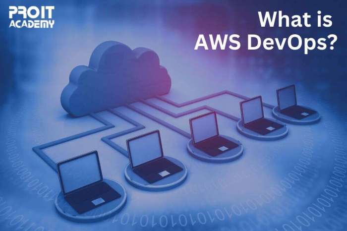 Aws devops architect